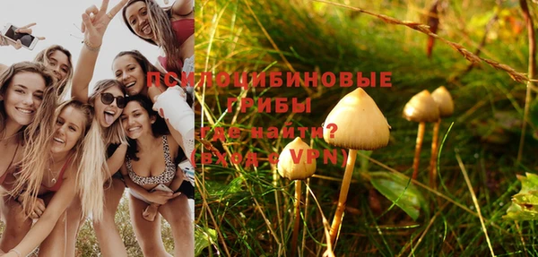 соль курить ск Ладушкин